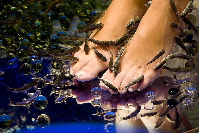 1-Hour Aroma Oil Massage plus 20-Minute Free Fish Pedi - Fitting the spa into an Athens day