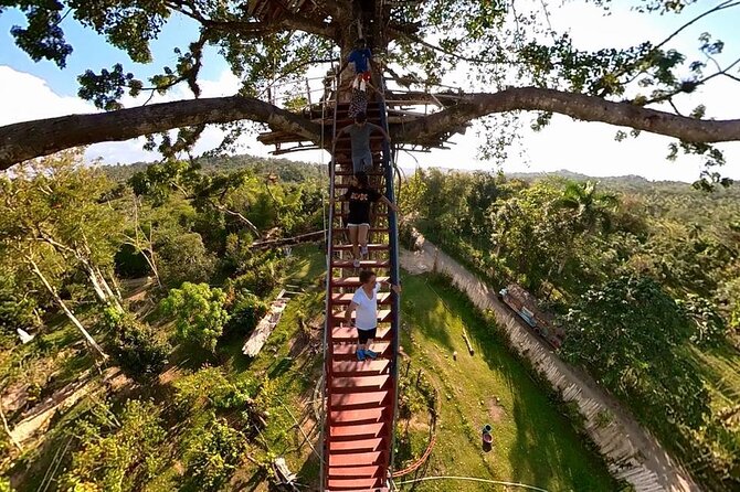 2in1: Los Haitises National Park + Yanigua Waterfall-SPA - Two Dominican nature stops in one long day