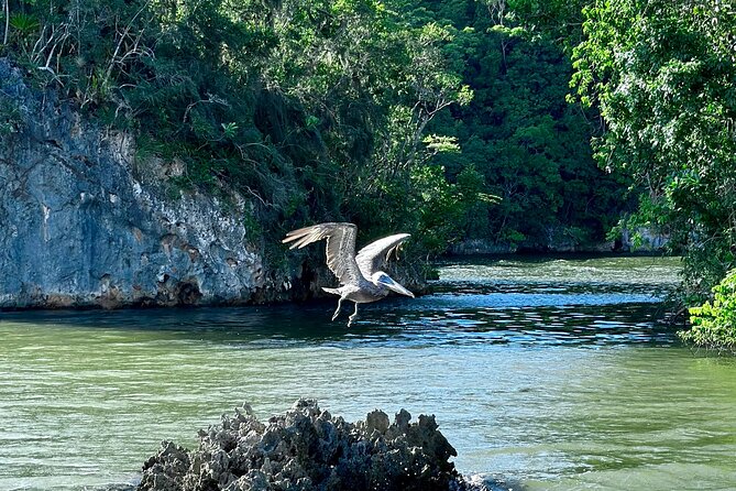 2in1: Los Haitises National Park + Yanigua Waterfall-SPA - Who will enjoy this excursion most