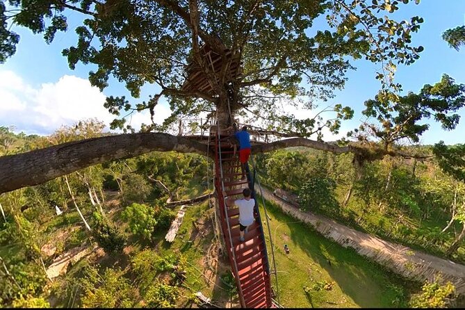 2in1: Los Haitises National Park + Yanigua Waterfall-SPA - Booking, weather, and cancellation advice