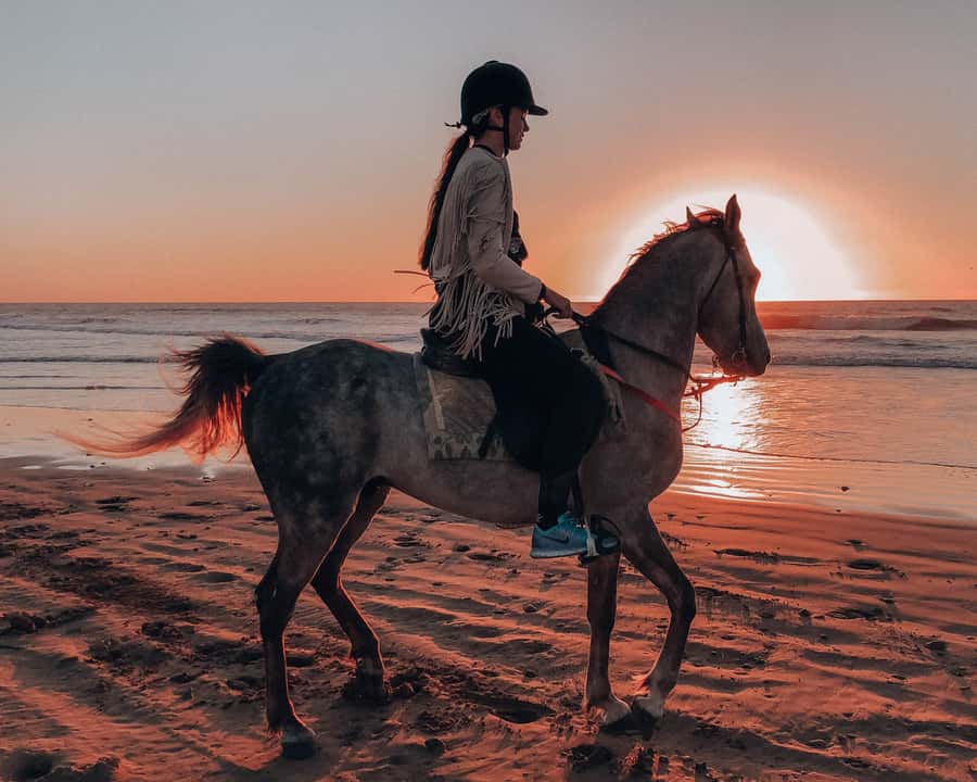 Agadir: Sunset Horse Riding Experience And Relaxing Massage - Why the horse ride works so well in Agadir