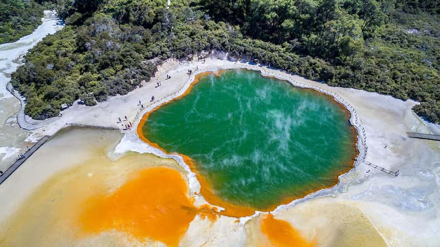 Auckland: Rotorua Highlights inc Wai-O-Tapu & Polynesian Spa - Practical tips for a smoother day