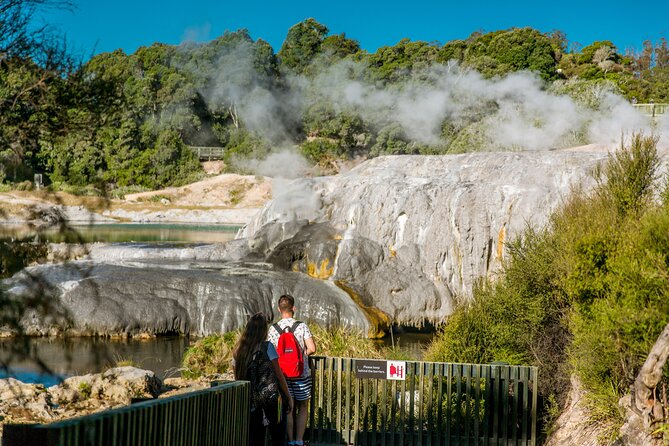 Auckland: Rotorua Te Puia with Haka & Polynesian Spa Small Group - Entering Te Puia’s Whakarewarewa Thermal Valley