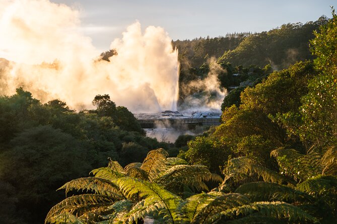 Auckland: Rotorua Te Puia with Haka & Polynesian Spa Small Group - A Short Look at Rotorua Before the Spa