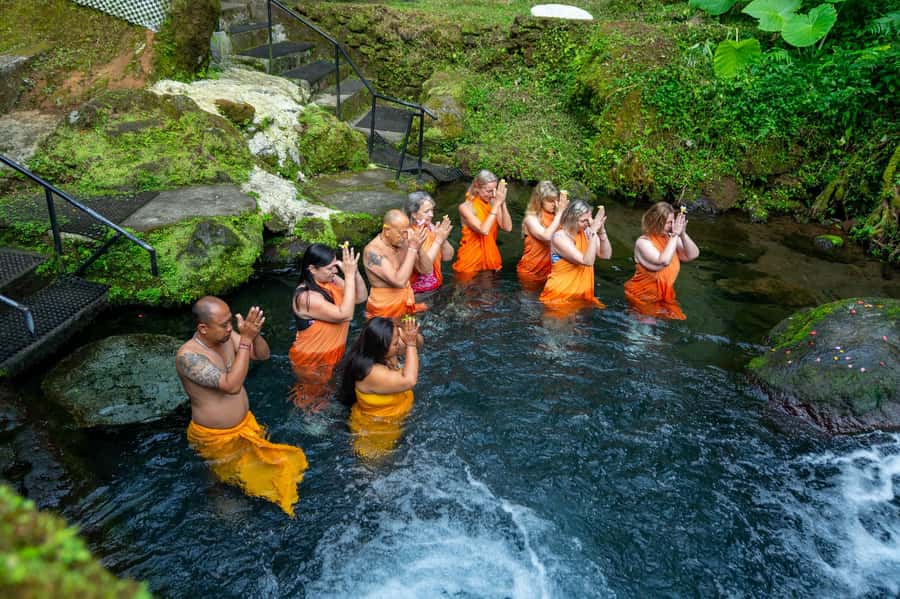 Bali: Healing Immersion Ubud Balinese Wellness + Lunch - Lunch with Indonesian and Western choices