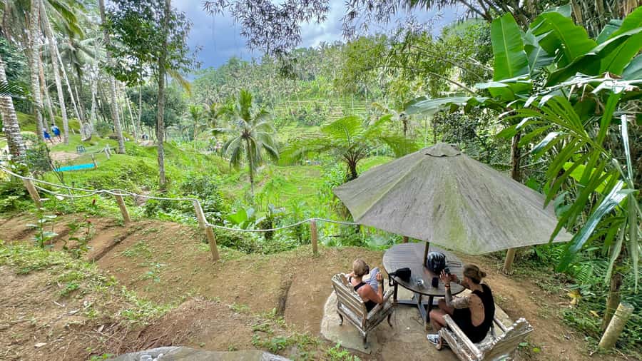 Bali:Traditional Wedding Photoshoot with the Rice Field View - Pickup from Bali hotels and timing