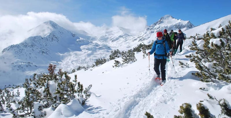 Bansko: Easy snowshoeing Pirin National Park & thermal spa - A mountain hut stop, when the day allows it