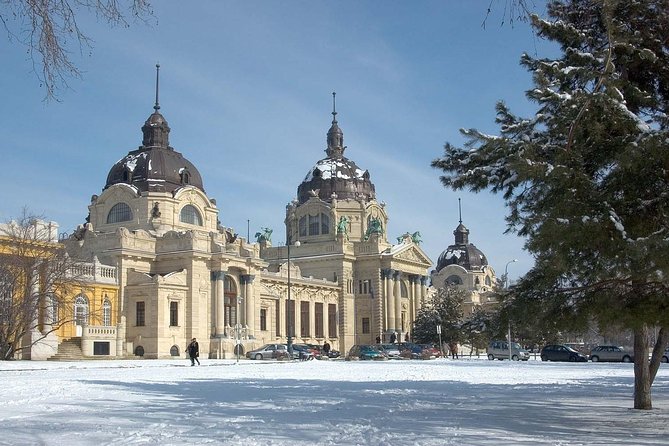 Budapest Széchenyi Spa with Danube Cruise and Optional Dinner - Is $155.77 good value?