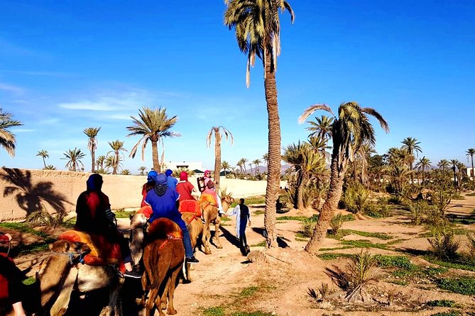 Camel Ride and Spa Treatment in Marrakech - From Marrakech’s hotel streets to the Palmeraie