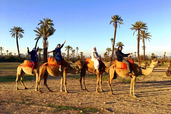 Camel Ride and Spa Treatment in Marrakech - Argan oil massage for the final hour of calm