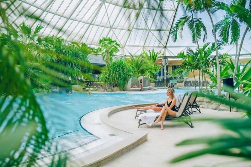 Erding: 1-Day Spa Ticket at Therme Erding - Thermal pools under palm trees