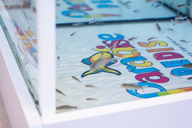 Fish, Fun & Feet – Caribbean’s Largest Fish Spa Experience! - Who will enjoy this most?