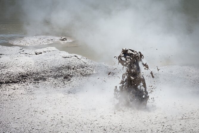 From Auckand: Waiotapu and Polynesian Spa Rotorua Day Tour - Who should book this experience