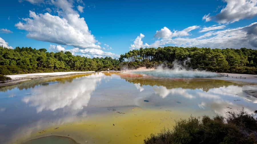 From Auckland: Wai-O-Tapu & Polynesian Spa Rotorua Day Tour - Walking through Wai-O-Tapu’s volcanic world