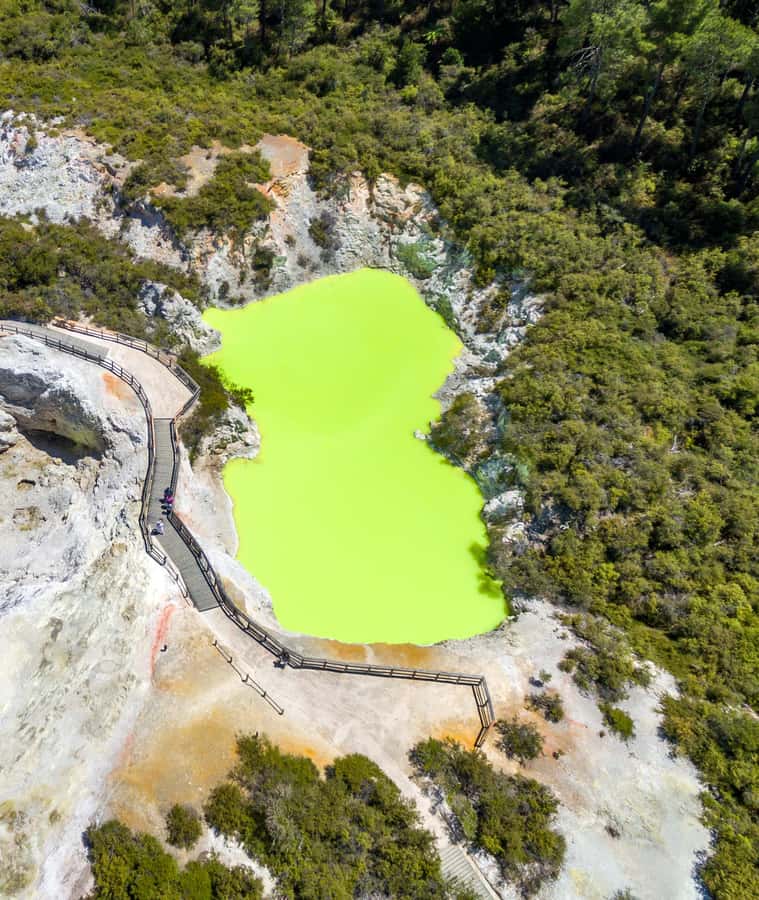 From Auckland: Wai-O-Tapu & Polynesian Spa Rotorua Day Tour - Two hours at Polynesian Spa