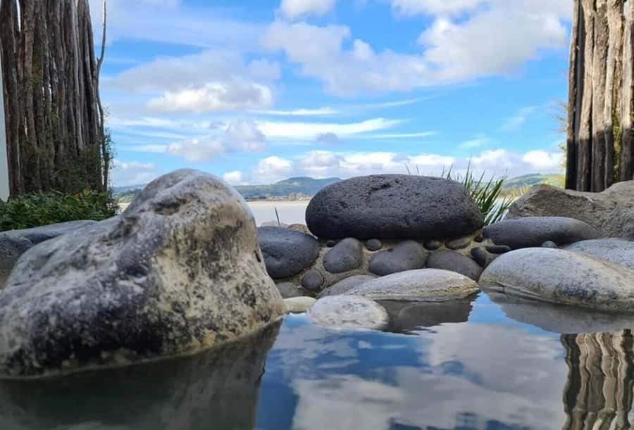 From Auckland: Wai-O-Tapu & Polynesian Spa Rotorua Day Tour - What the $221 price really includes