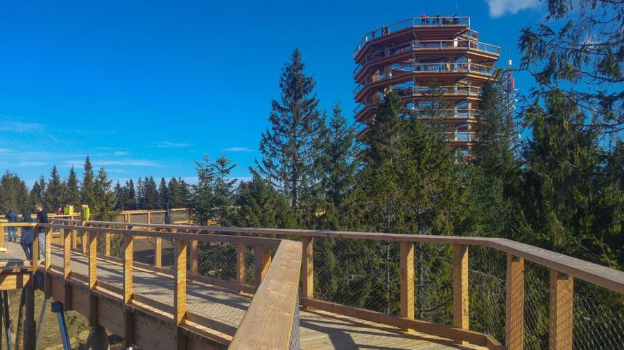 From Krakow: Slovakia Treetop Walk, Zakopane & Thermal Spa - Zakopane between Krupowki and the Tatras