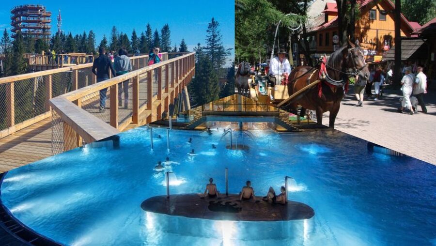 From Krakow: Slovakia Treetop Walk, Zakopane & Thermal Spa - Walking above the forest at Bachledka