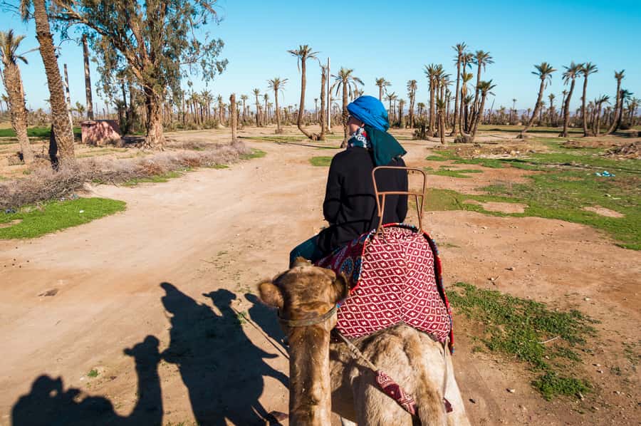 From Marrakech: Camel Ride, Quad Bike & Spa Full-Day Trip - Three Marrakech experiences in one day
