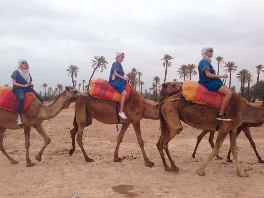 From Marrakech: Camel Ride, Quad Bike & Spa Full-Day Trip - Camel riding beneath the Palmeraie palms