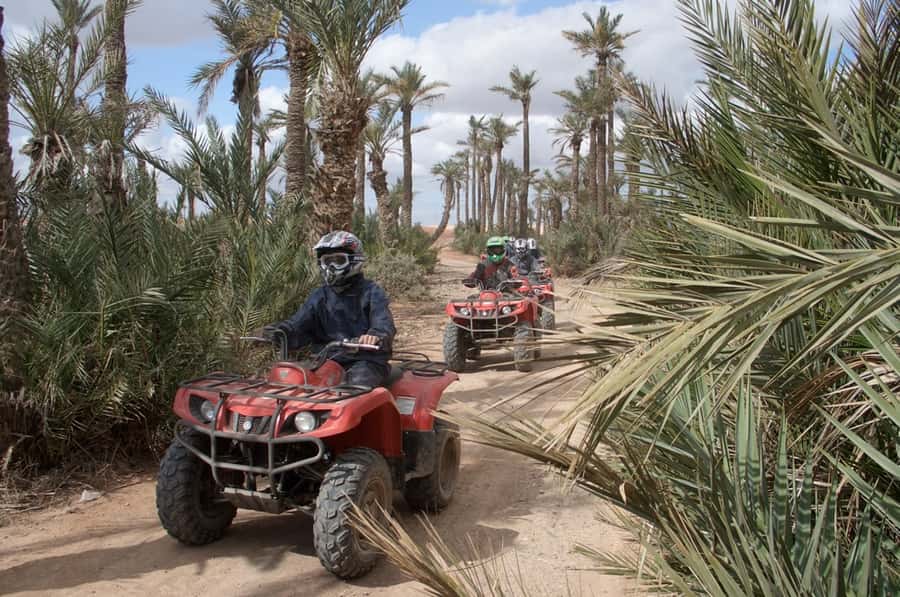 From Marrakech: Camel Ride, Quad Bike & Spa Full-Day Trip - Quad biking through the palm grove