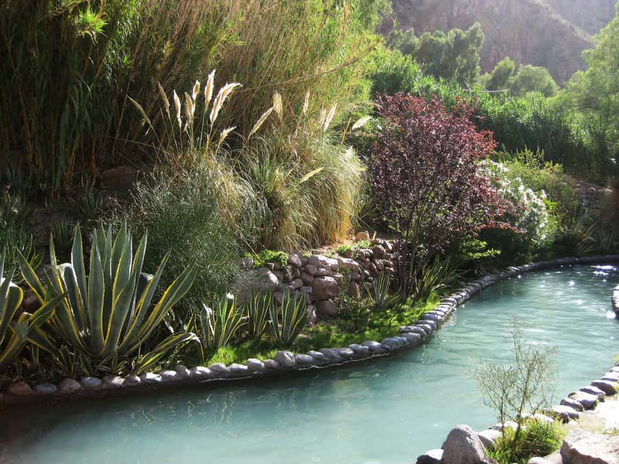 From Mendoza: Premium Spa Day at the Cacheuta Hot Springs - Is $156 fair for a full day?