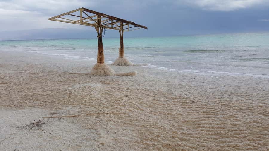From Tel Aviv: Full-Day Dead Sea Relaxation Tour - Price, value, and practical planning