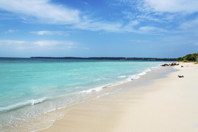 Full day At Beach Club in Playa Blanca Baru cartagena - Key points to know before booking
