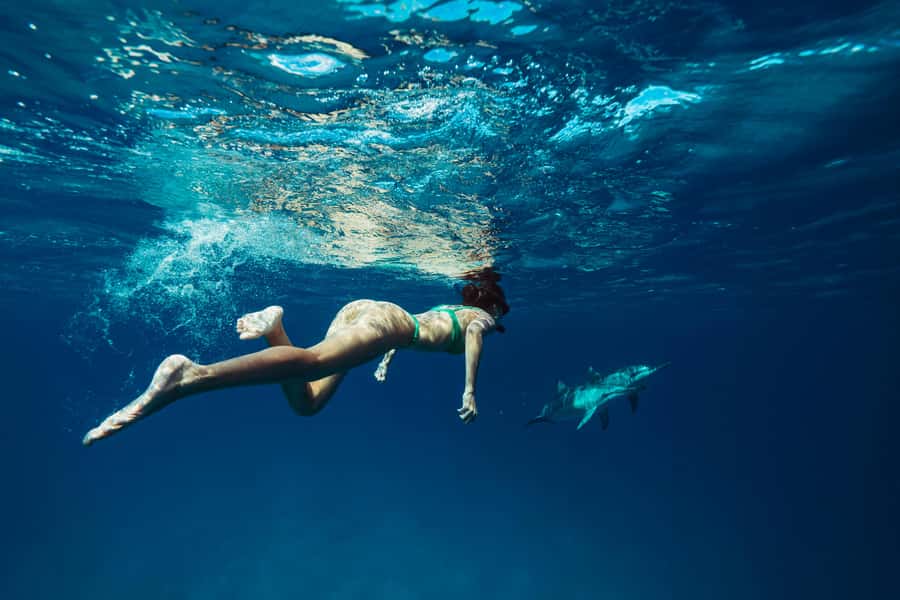 Hurghada: All-Inclusive Elite VIP Dolphin House & Massage - Three stops for Red Sea snorkeling