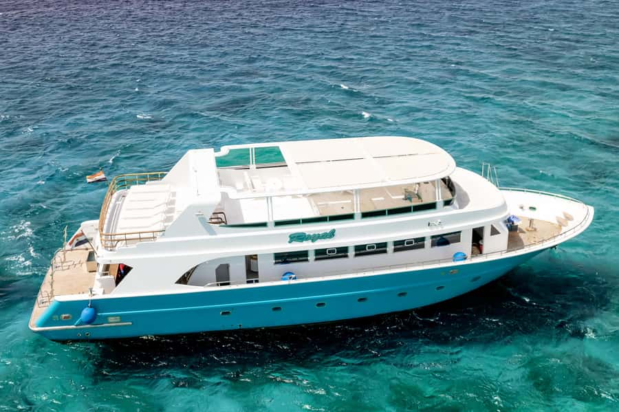 Hurghada: All-Inclusive Elite VIP Dolphin House & Massage - Should you book it?