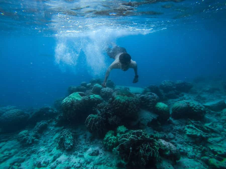 Hurghada:Luxury Diving & Snorkeling inc/Island/Lunch/Massage - A full Red Sea day from Hurghada