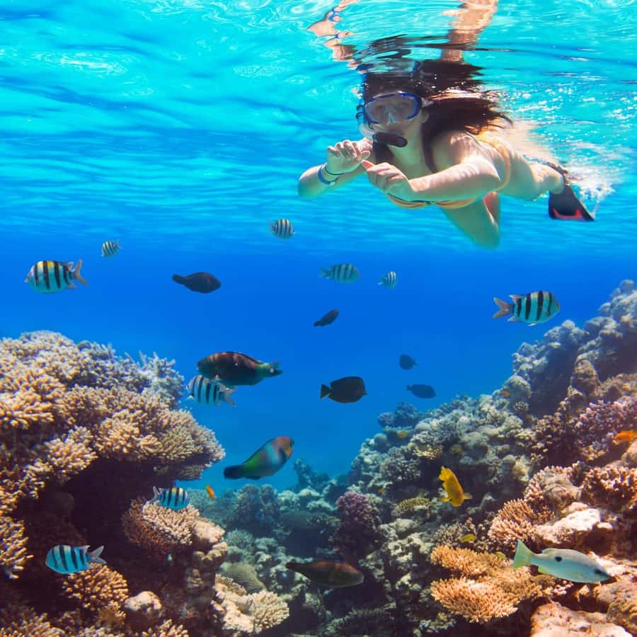 Hurghada:Luxury Diving & Snorkeling inc/Island/Lunch/Massage - Orange Bay: pretty, popular, and short