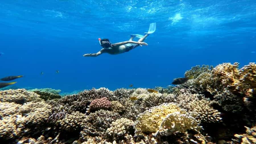 Hurghada: Orange & Giftun Island Cruise with Massage & Lunch - Massage, banana boat, and the ride home