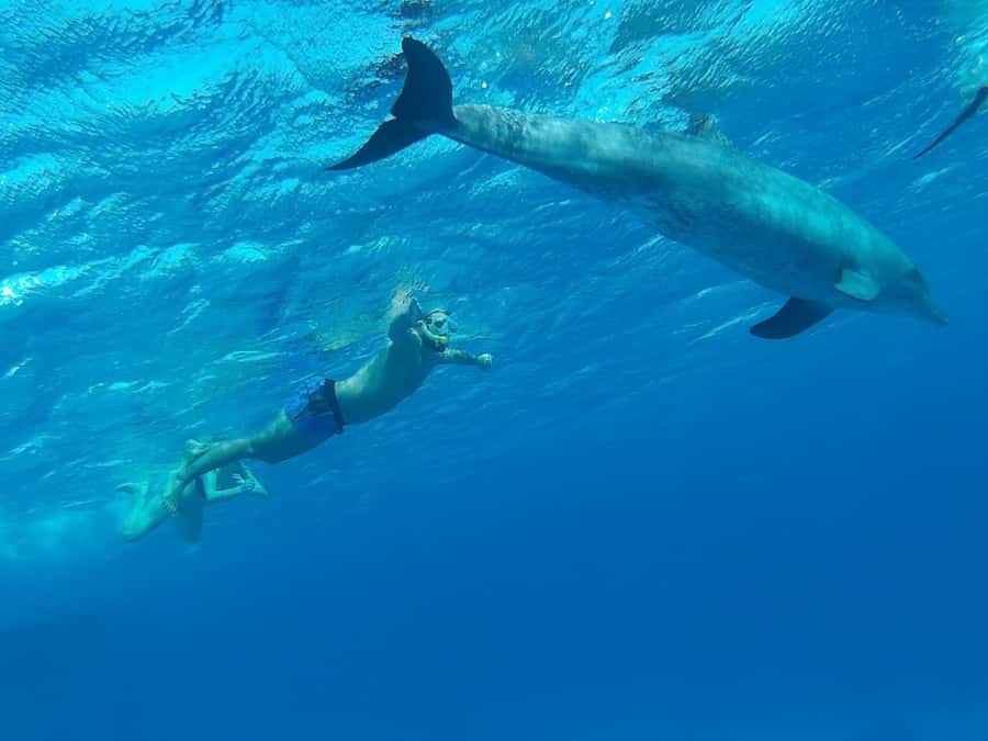 Hurghada: Royal Orange Bay with Massage, Snorkeling & Lunch - Lunch that feels like a proper meal