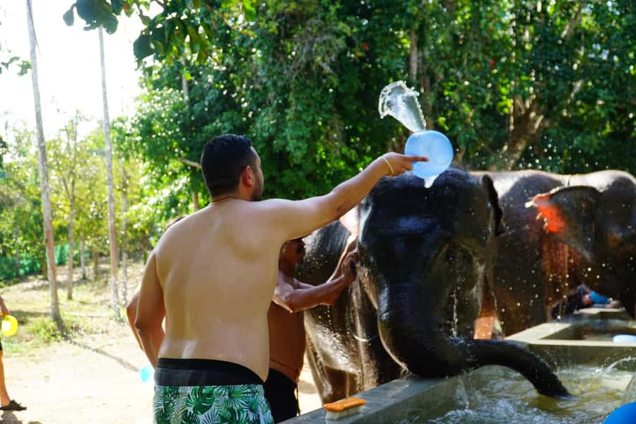 Koh Samui: Half-Day Ethical Elephant Sanctuary with Mud Spa - FAQ