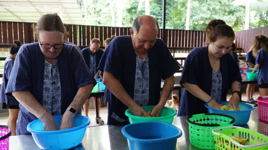 Koh Samui: Half-Day Ethical Elephant Sanctuary with Mud Spa - The Mud Spa and River Bath