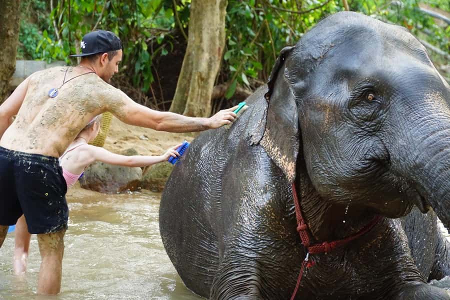 Koh Samui: Half-Day Ethical Elephant Sanctuary with Mud Spa - Who Will Enjoy This Experience Most?