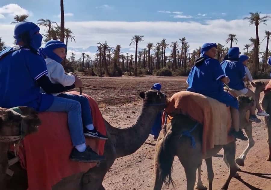 Marrakech: Palmeraie Camel Ride & Traditional Moroccan Spa - The argan oil massage and what to expect