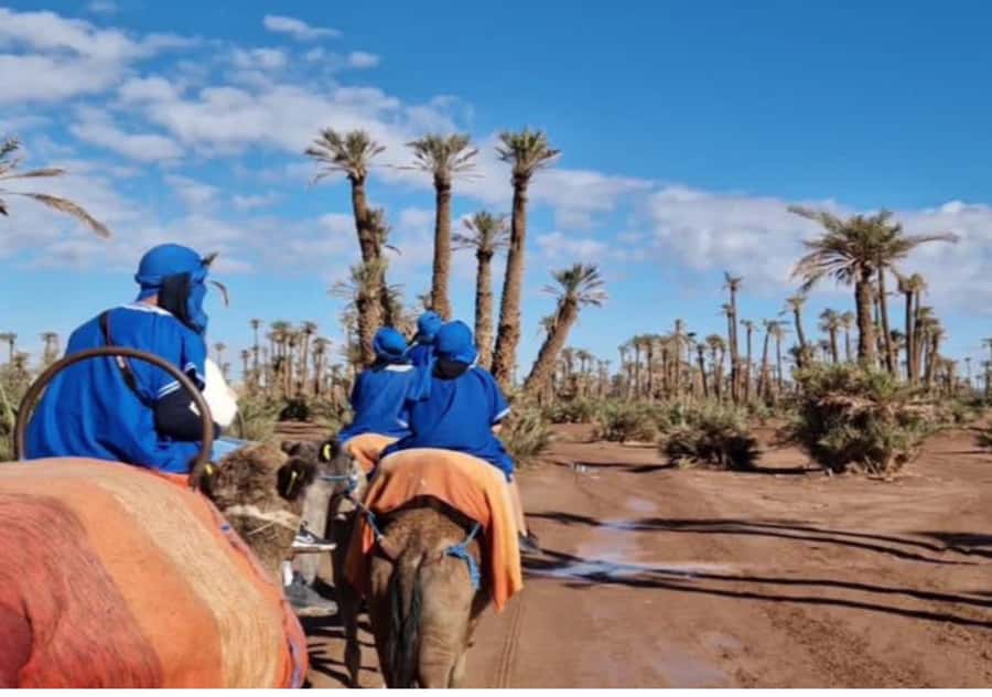 Marrakech: Palmeraie Camel Ride & Traditional Moroccan Spa - Who should book this experience?