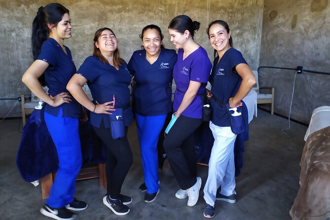 Massage Experience with Certified Therapists & Pickup Drop-Off - Where the return ride can take you