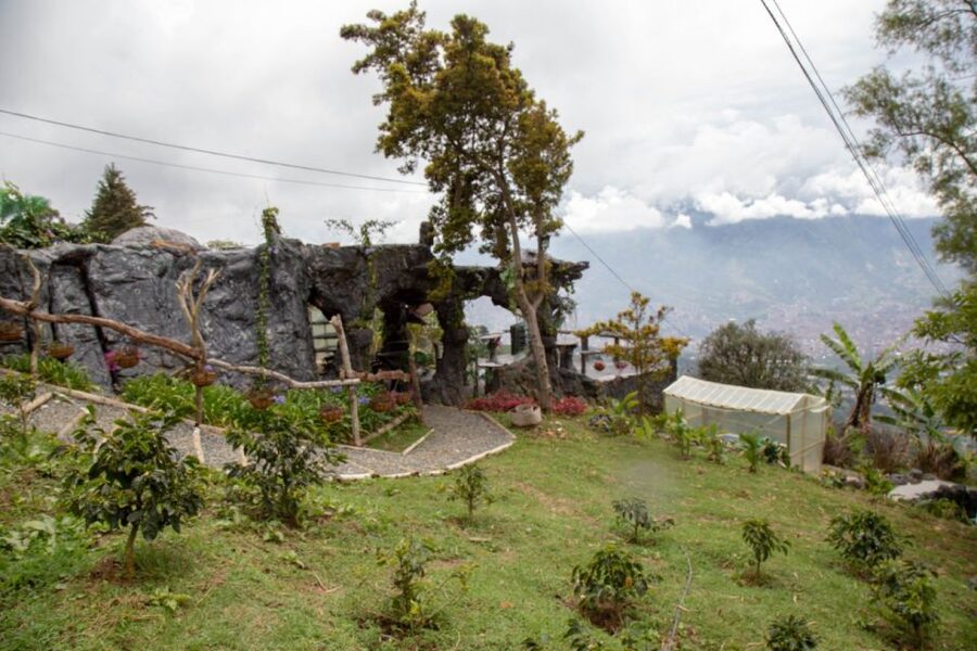 Medellin: Coffee Tour and Wellness Spa - Who will enjoy this coffee and spa combination?