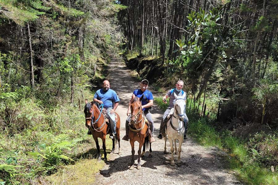 Medellin: Horseback Riding Coffee Farm Tour with Coffee Spa - Don Leandro Coffee Farm, From Fruit to Cup