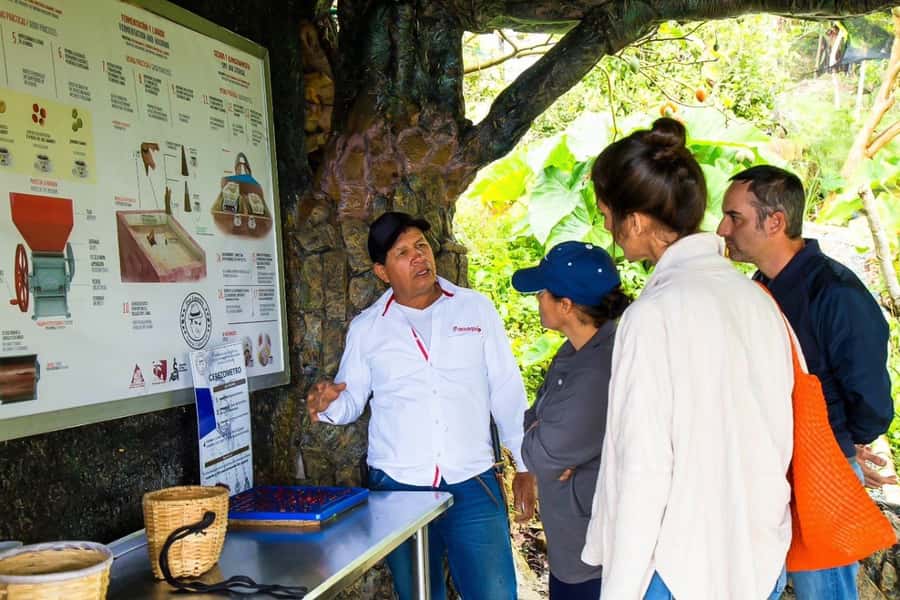 Medellin: Horseback Riding Coffee Farm Tour with Coffee Spa - Is $150 Good Value?