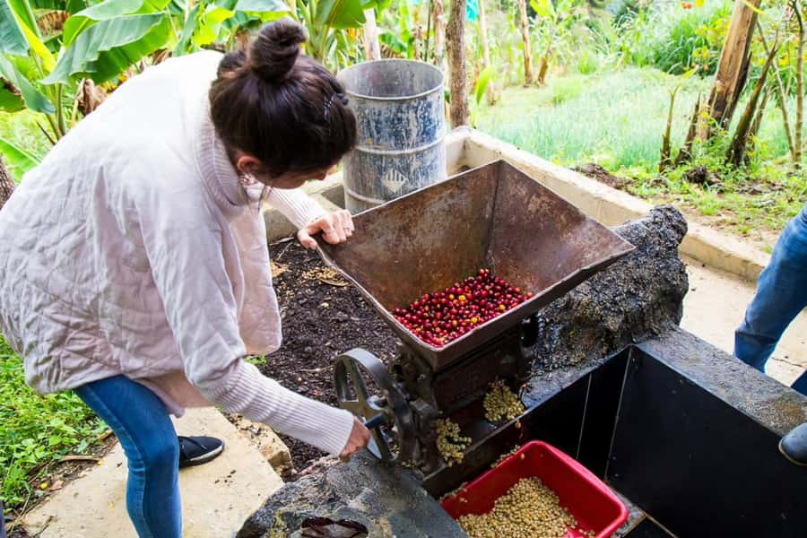 Medellin: Horseback Riding Coffee Farm Tour with Coffee Spa - Who Will Enjoy This Most?