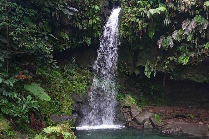 Pepper's Choice : Waterfalls, Sulphur Spa & Black Sand Beach - A full day that shows Dominica’s variety