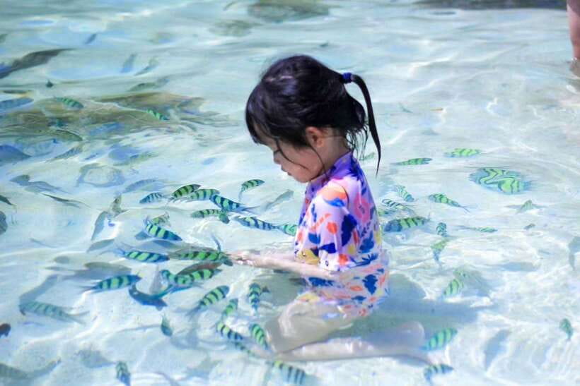 Phuket: 3 Khai Islands Relax & Snorkeling Half/Full Day Tour - Food, drinks, and the small extras