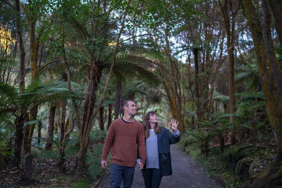 Rotorua: Hell's Gate Outdoor Mud Spa & Guided Walk - Māori carving adds a useful cultural layer