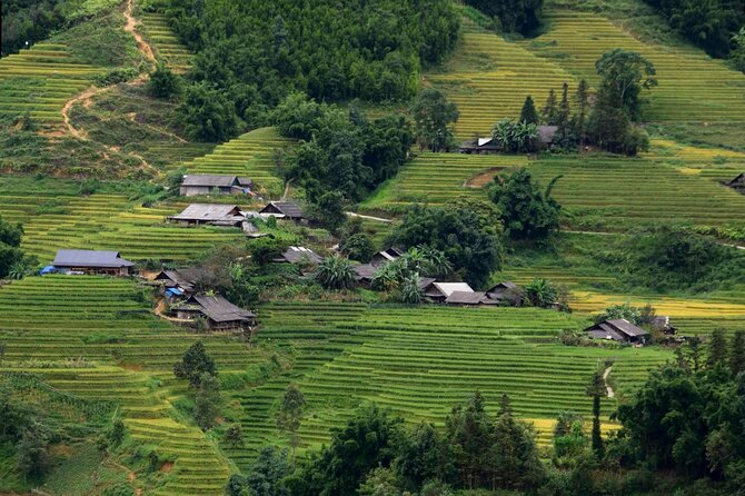 Sapa Muong Hoa Valley & Ta Van Eco Village Scenic Tour (No Trek) - Choosing between La Dao Spa and Phansi Café