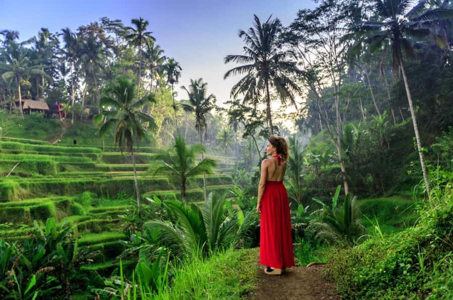 Ubud: Floating Breakfast, Jungle Swing & Spa Romantic Tour - Who should book this Ubud tour?