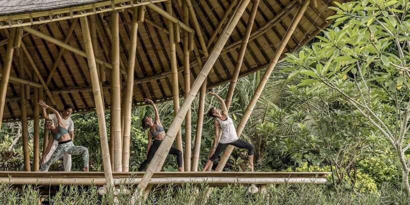 Ubud: Wellness Retreat with Massage, Yoga Class, and Lunch - From hotel pickup to Ubud’s sacred springs